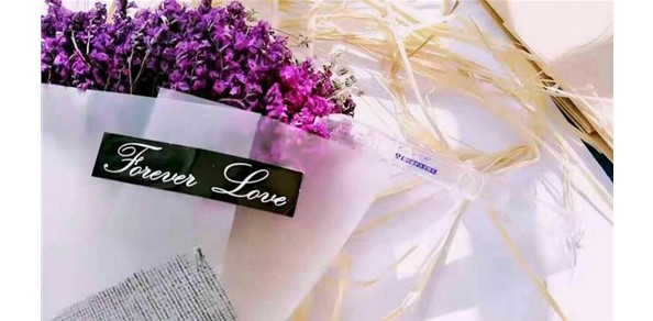 一往情深深似海 遇见艾蓓爱永恒